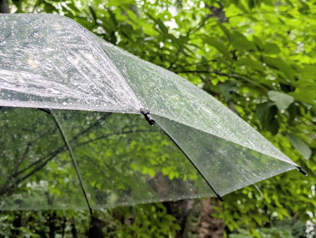 雨の日に憂鬱になるのは、あなたのせいじゃない