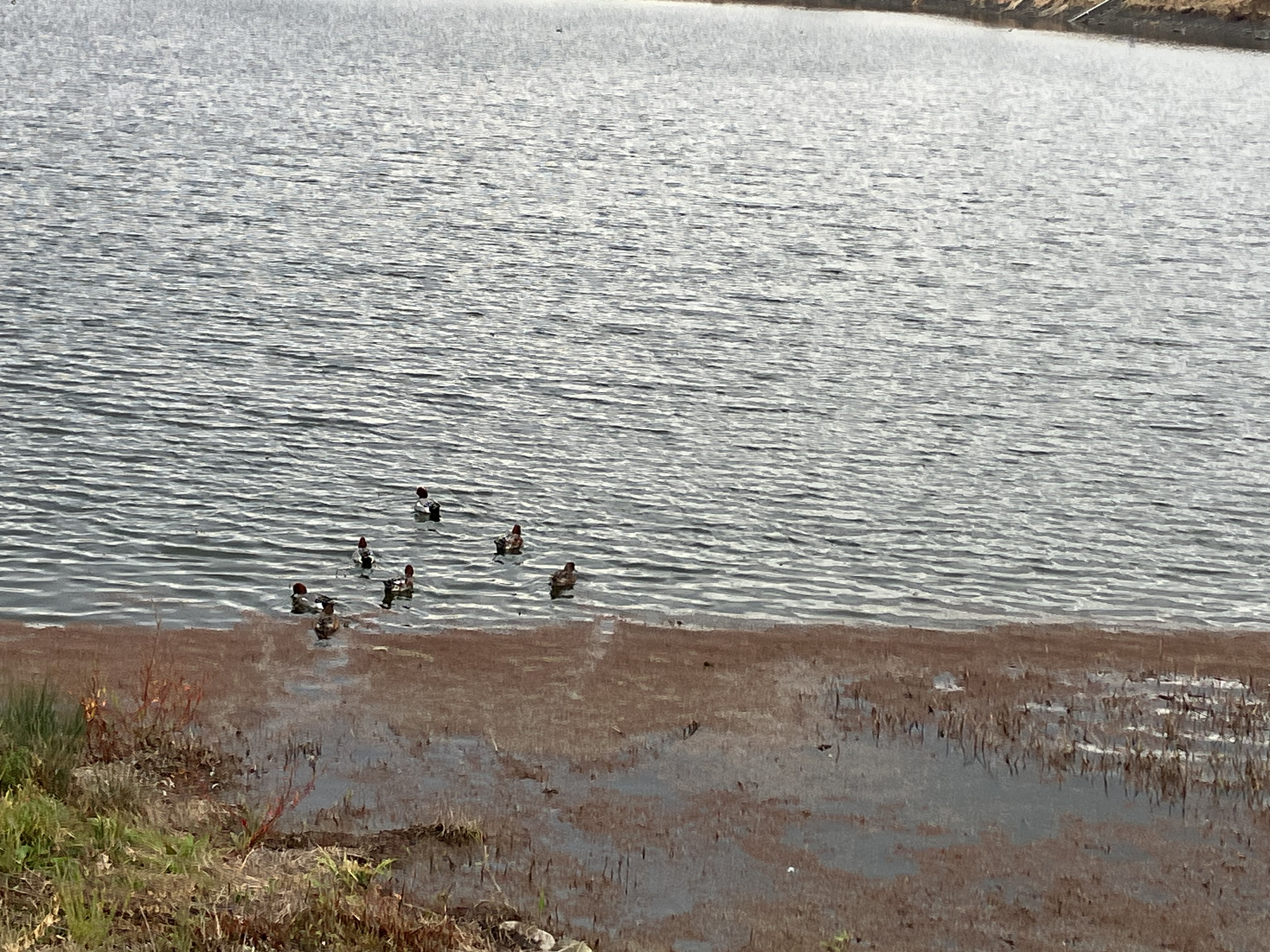 気持ちがふさぐ日は、歩き出す日。小さな散歩がくれた心の回復