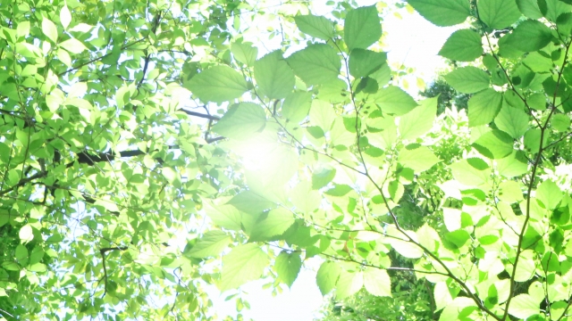 自分の人生を自分で選びたいと思った方へ