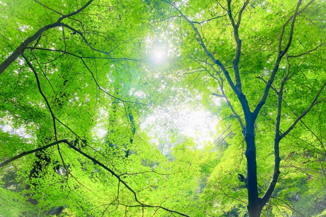 安心できる場所があると、人は少しずつ変わっていく