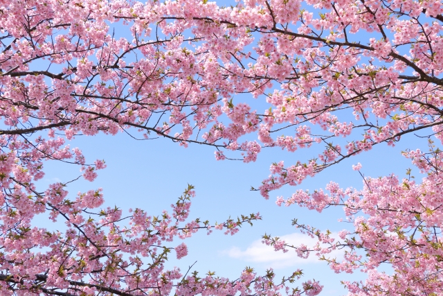 自分を認めたら、成長が止まると思っていた