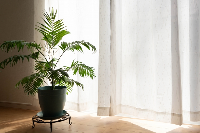 うまくいかないのは、あなたが悪いのではない